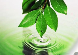 ГОСТ Р ИСО 14001-2007 (МС ИСО 14001:2004) — Системы экологического менеджмента